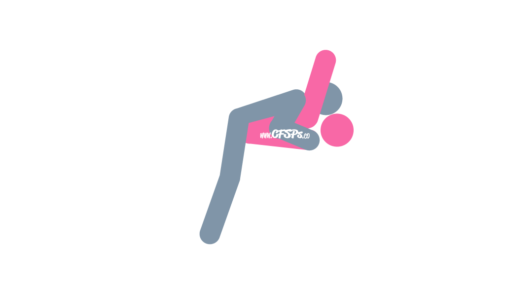 Packing the Suitcase Sex Position Illustration