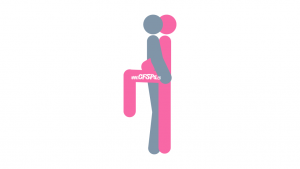 Pink Flamingo Sex Position Illustration